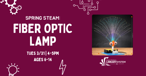 Spring STEAM: Fiber Optic Lamp